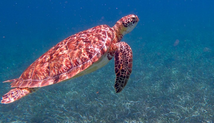 Belize