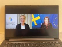 Utrikesministern svarar på utlandssvenskarnas frågor