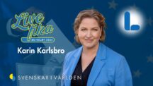 Liberalernas Karin Karlsbro svarar på utlandssvenskarnas frågor i exklusiv intervju