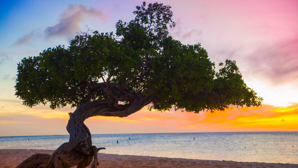 Aruba