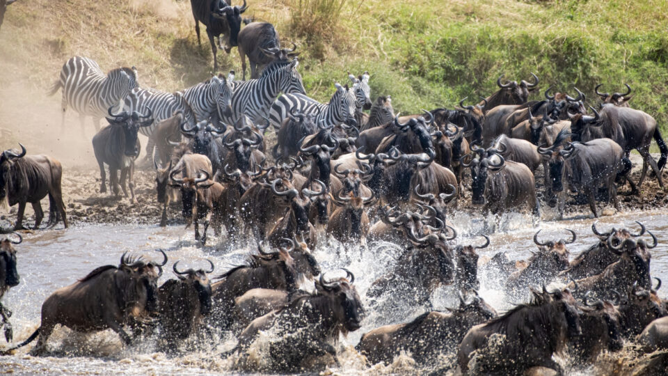 Kenya