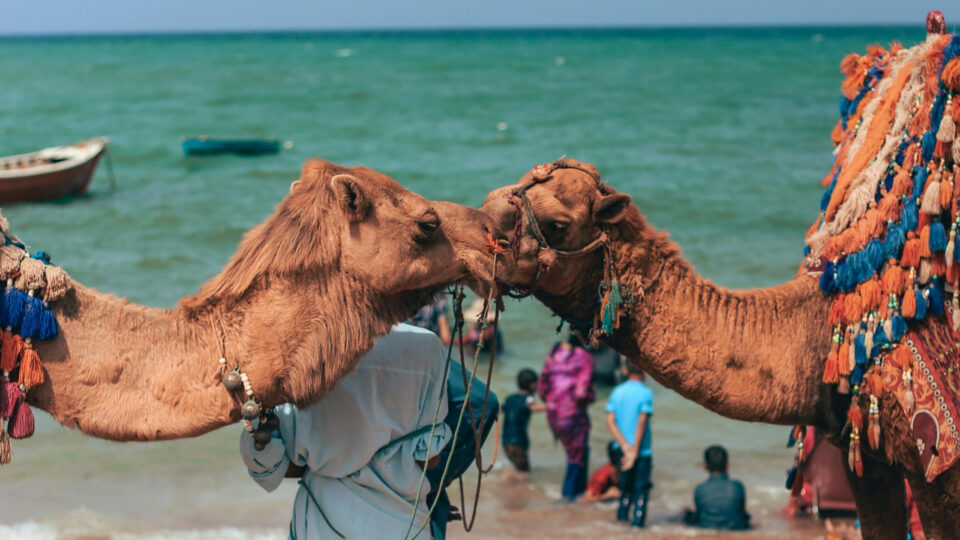 Somalia